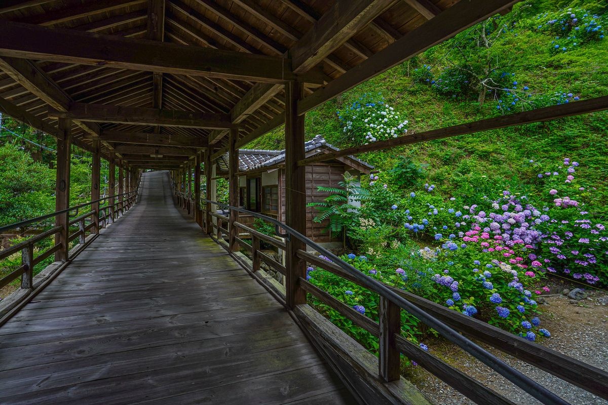 妙法寺