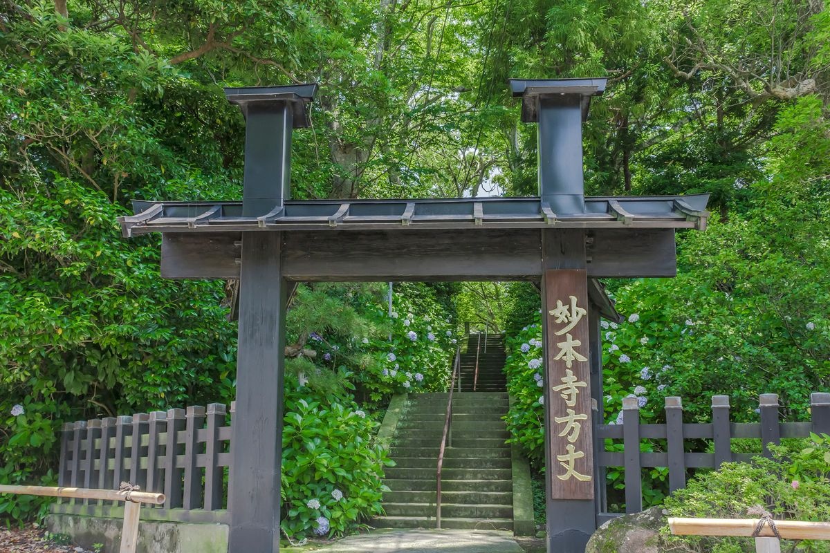 妙本寺 (Myohon-ji)