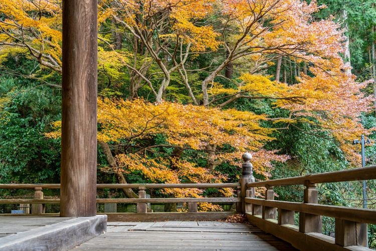 妙本寺 (Myohon-ji)