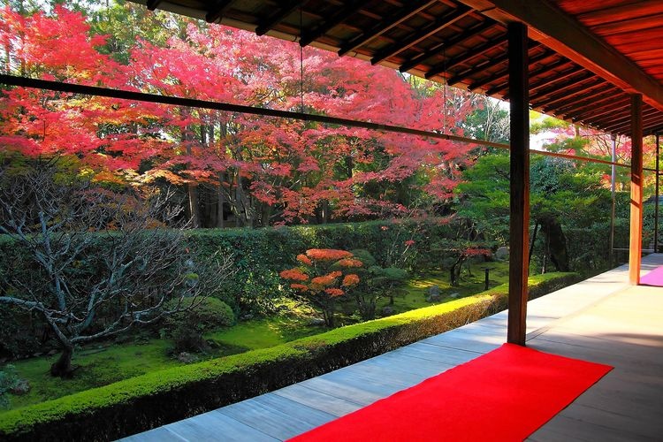 묘신지 케이슌인 (Myoshin-ji Keishun-in) 2