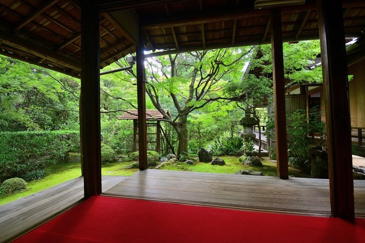 묘신지 케이슌인 (Myoshin-ji Keishun-in) 3