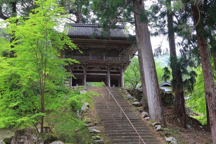 Komyoji Temple 4