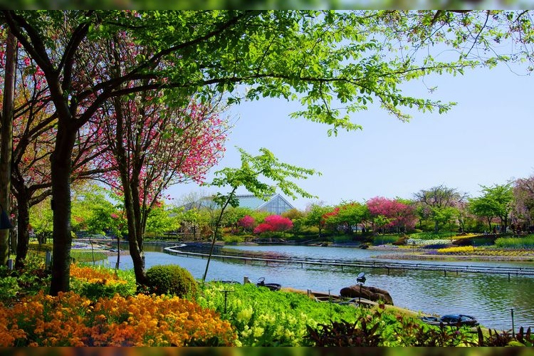 Nabana no Sato