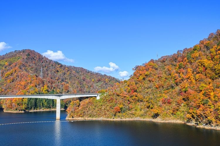 長井水壩 (長井 Dam)