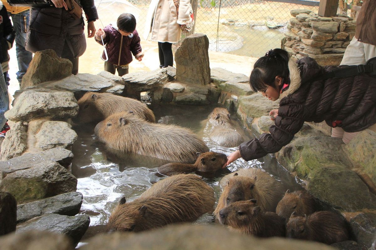 Nagasaki Bio Park