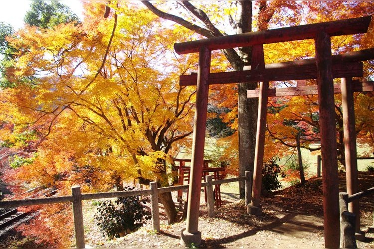 Kastil Nagashino