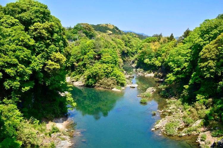 Kastil Nagashino 3