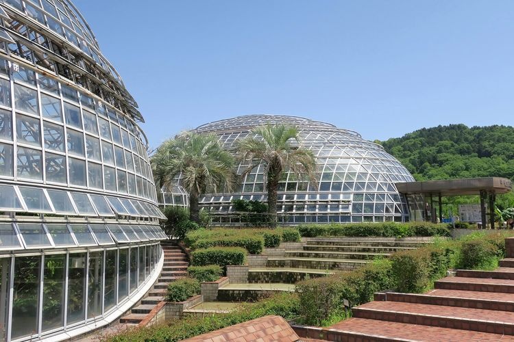 Nagoya Higashiyama Fruit Park 2