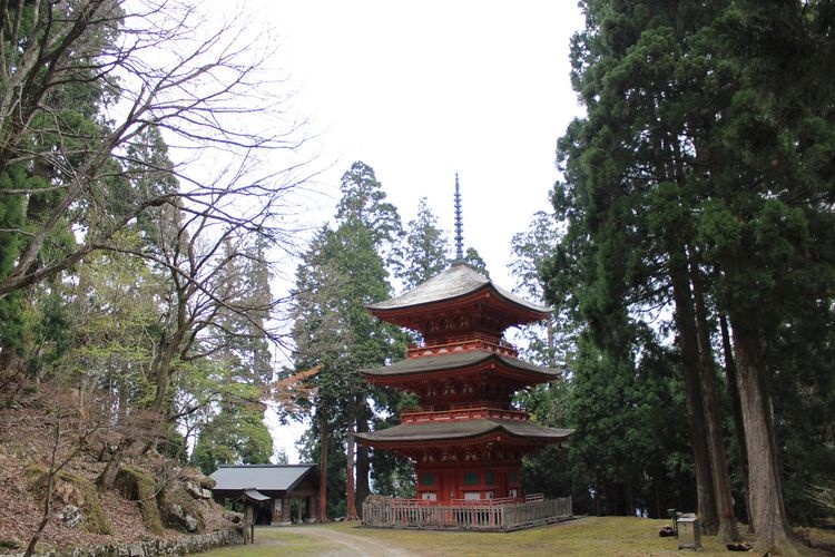 Naguso Shrine 3