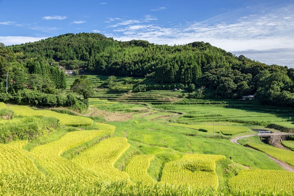 Nakagaki-uchi Rice Terraces