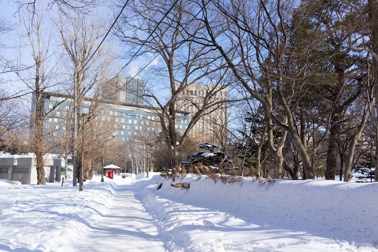 Taman Nakajima (Nakajima Park) 3