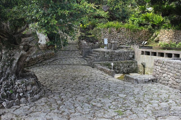 仲村渠樋川