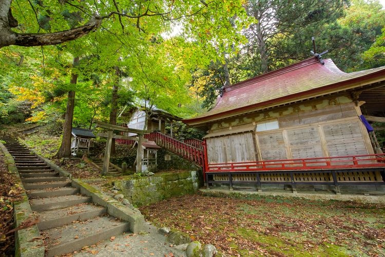 Nakano Momiji-yama (Nakano-jinja)