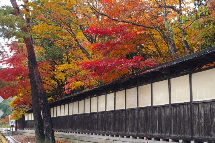 Museum of Nakano Family Residence 2
