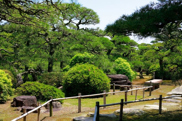 Nakatsu Banshoen