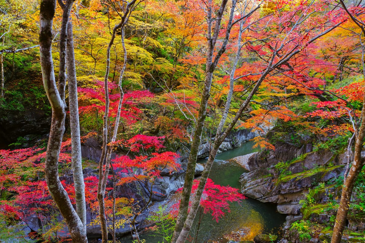 Nakatsukyo Gorge