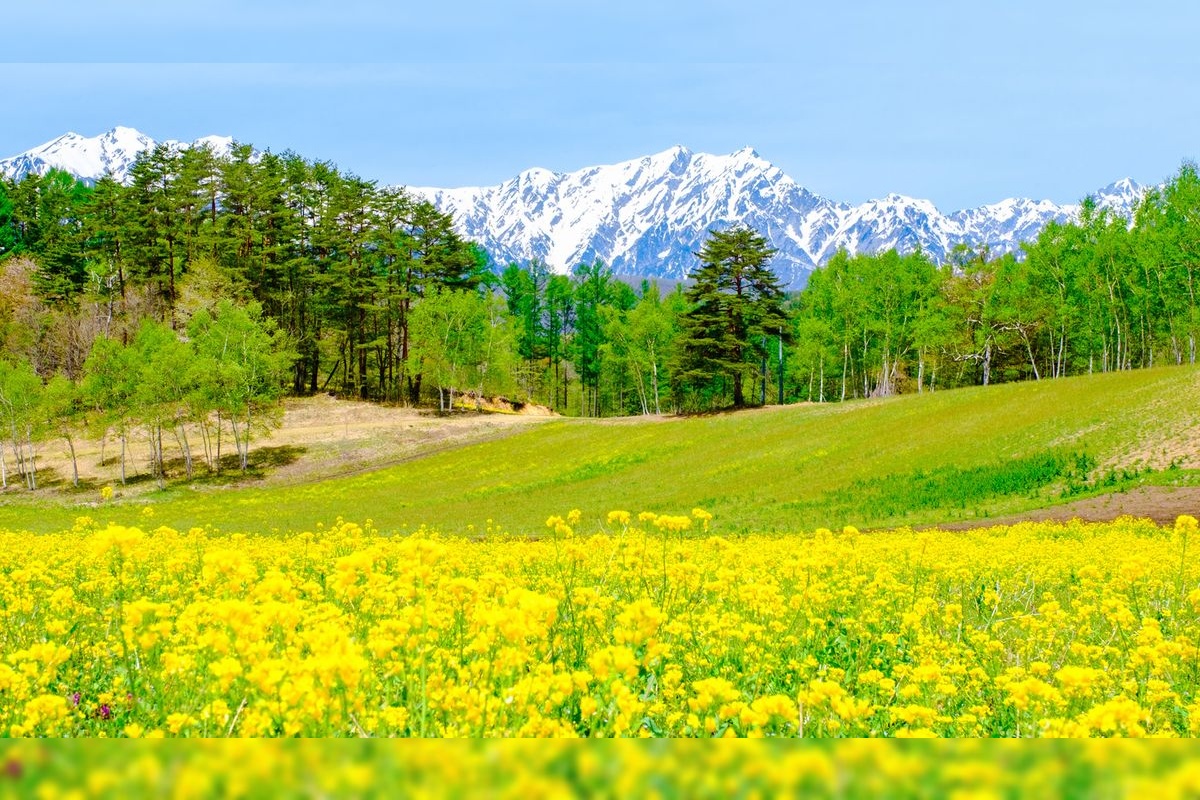中山高原