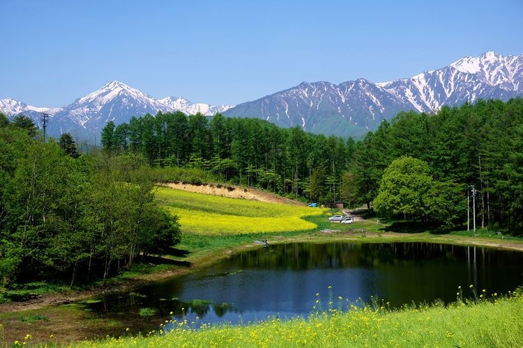 Nakayama Kogen 3