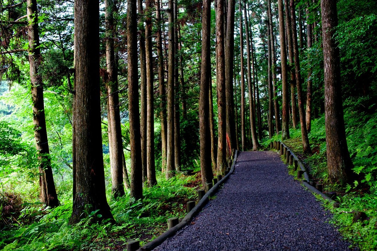 Tatsutsumi Park