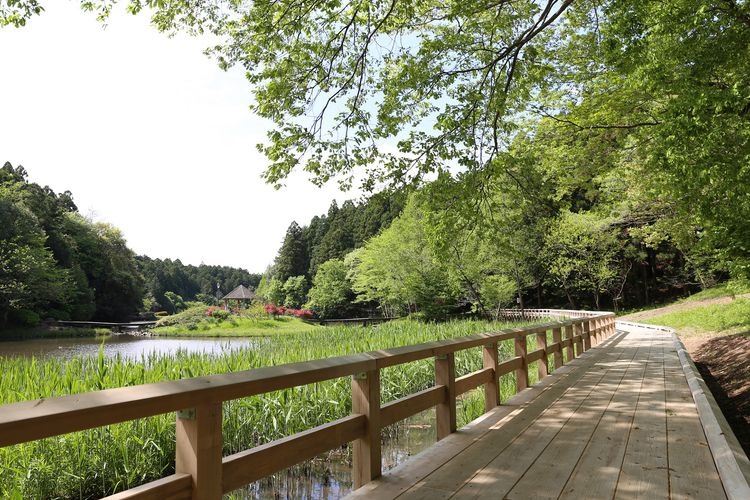 Parque Nanatsudo