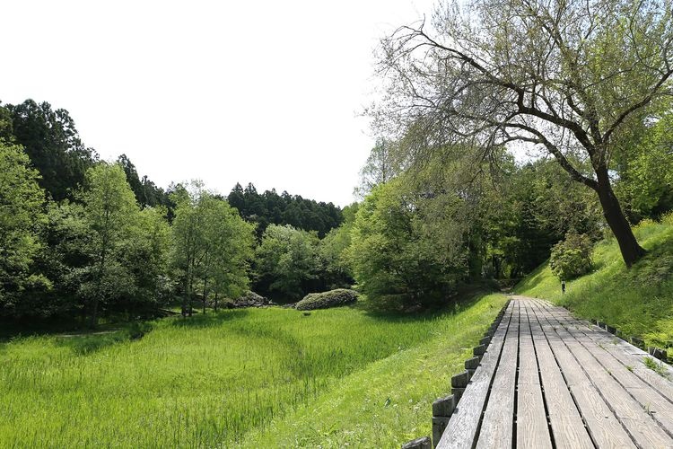 Parque Nanatsudo 4