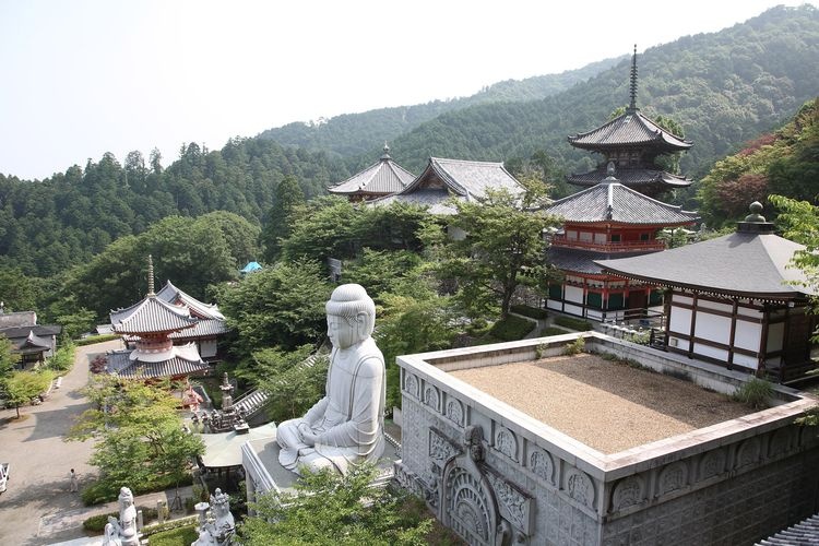 Nanfoka-ji (Tsubosaka-dera) 3