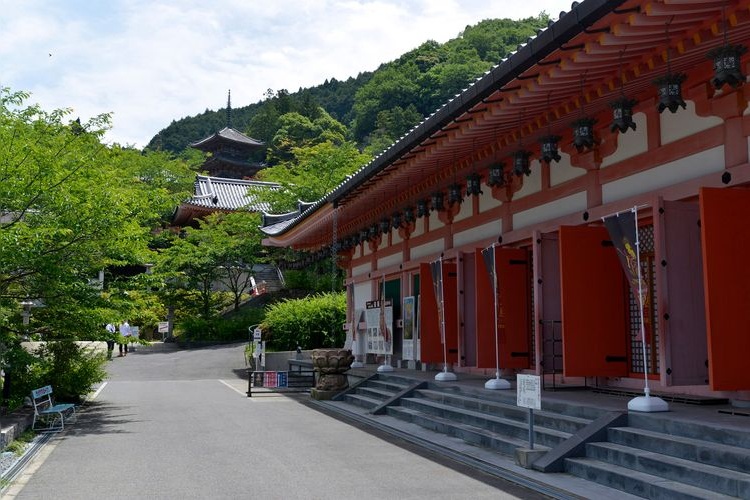 Nanfoka-ji (Tsubosaka-dera) 4