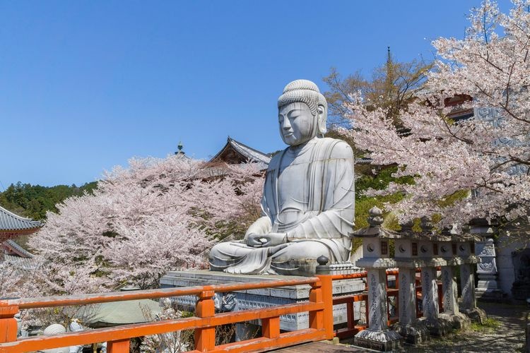 Nanfokeji (Tsubosaka-dera) 7