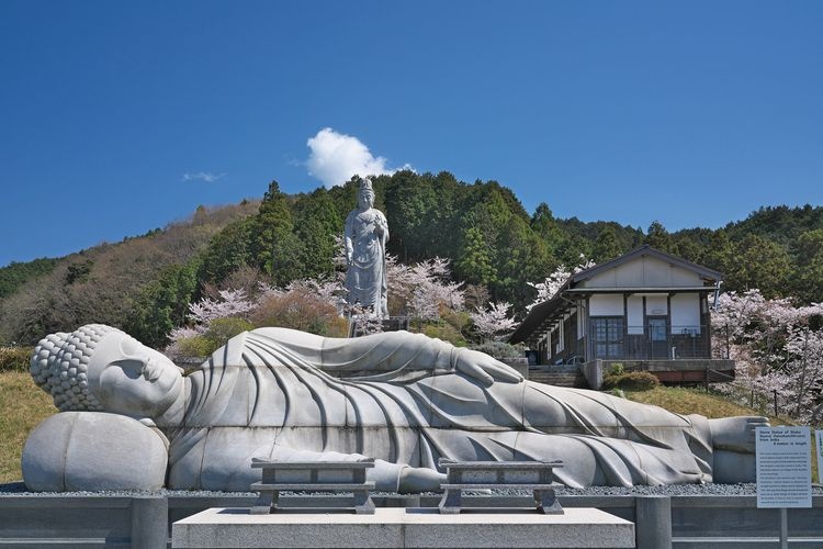 Nanfokeji (Tsubosaka-dera) 8