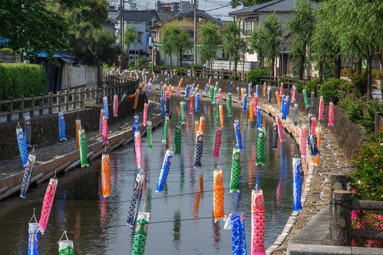 巴波川(蔵の街) 2