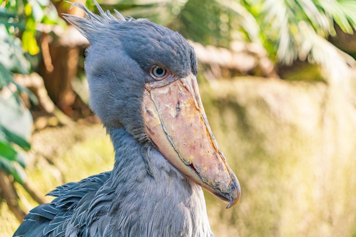 那須動物王國