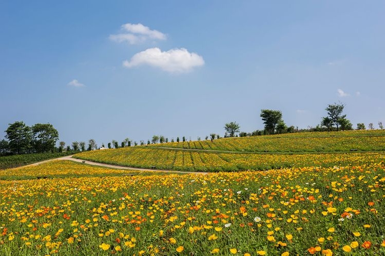 Nasu Flower World 4