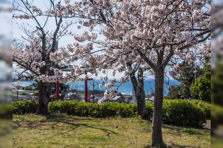 名和公園
