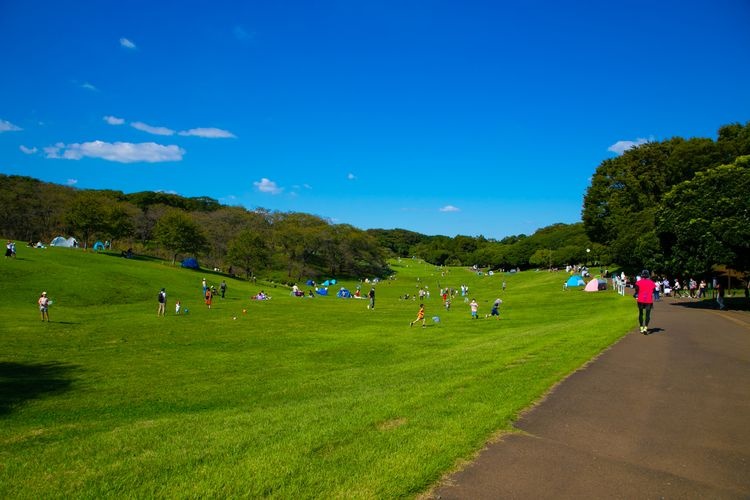 Parque Negishi Shinrin