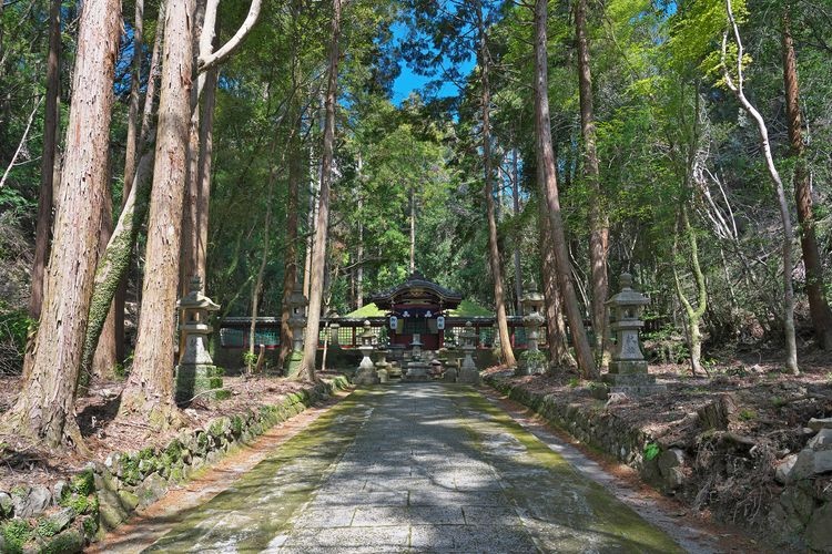 根来寺 (Negoro-ji) 4