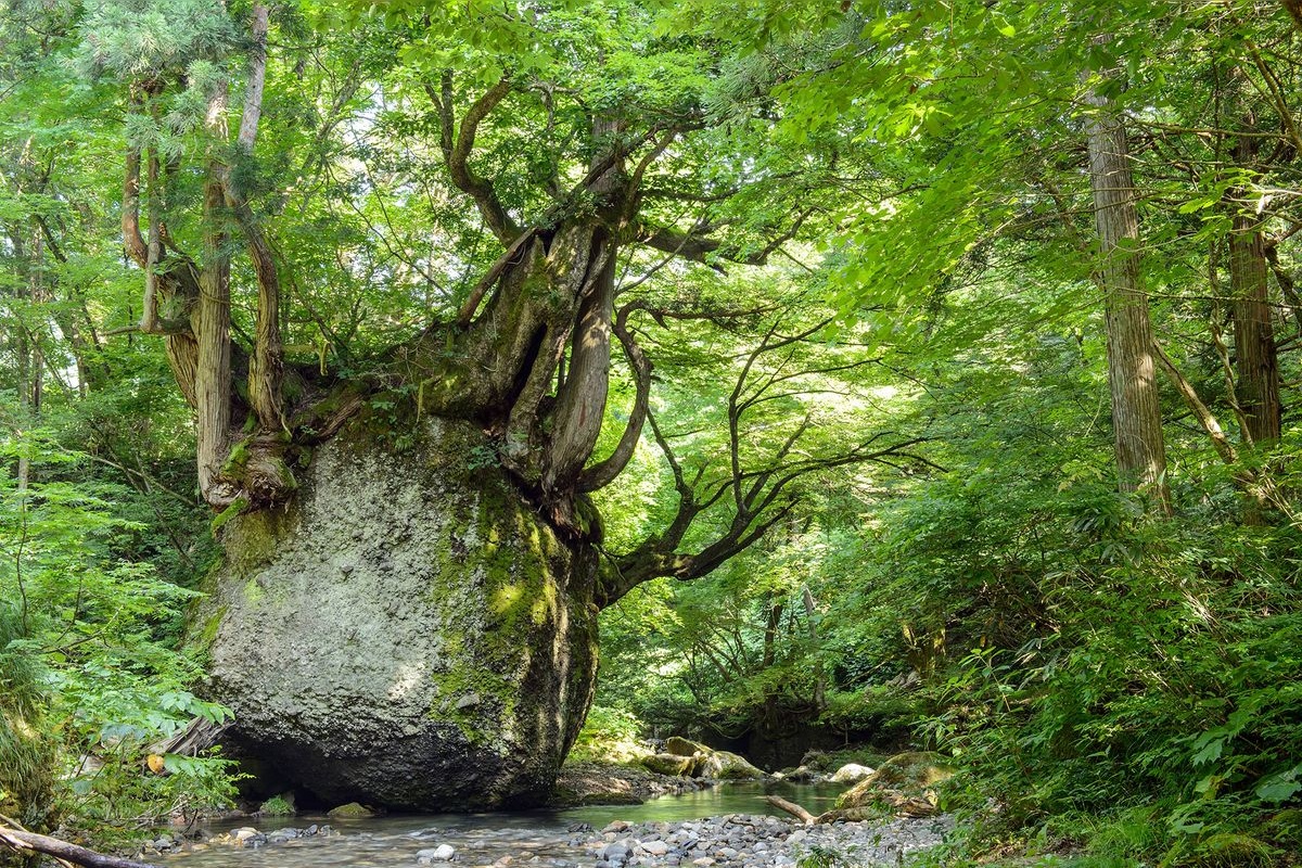 猫バリ岩 (Nekobari-iwa)