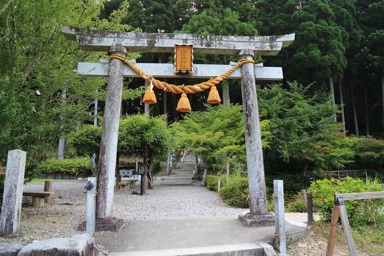 Nemichi Jinja (Estanque de Monet) 2