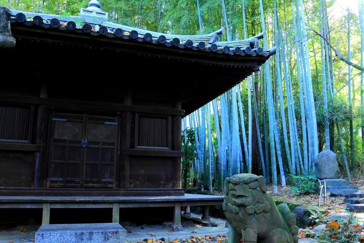 根津美术馆 (Nezu Museum)