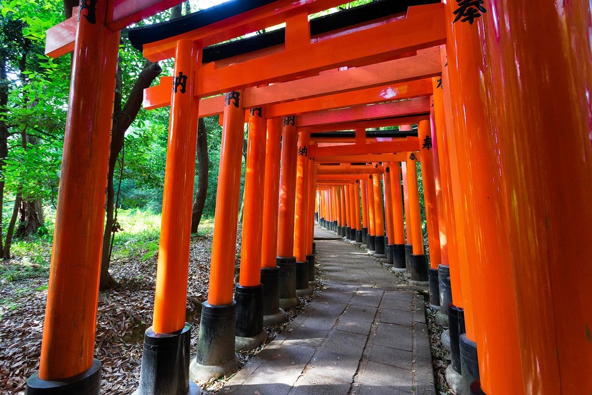 根津神社 (Nezu Jinja)