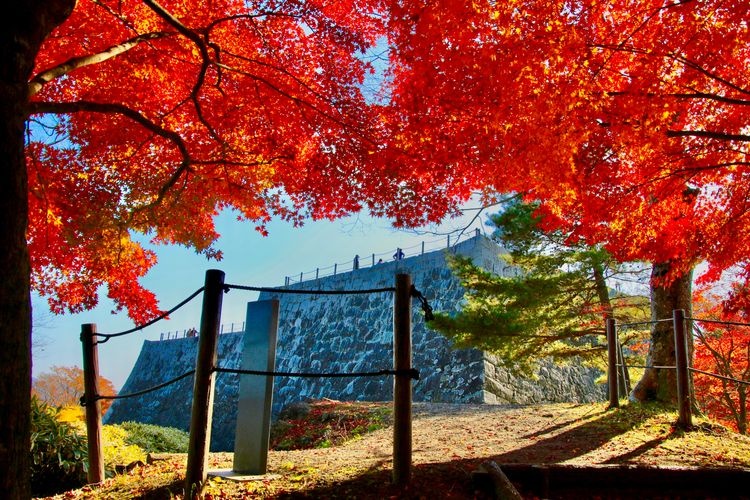 Château de Nihonmatsu (Parc Kasumigajō)