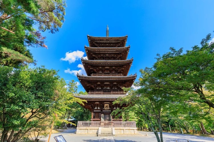 仁和寺 3
