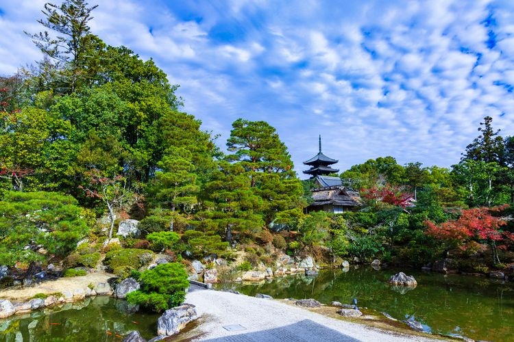 Ninna-ji Temple 6