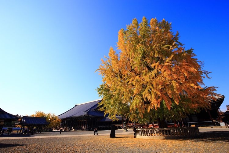 Nishi Hongan-ji 2