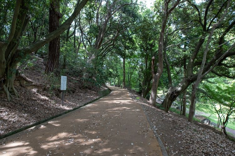 Nishi Park