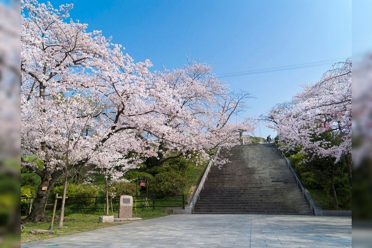 Nishi Park 2