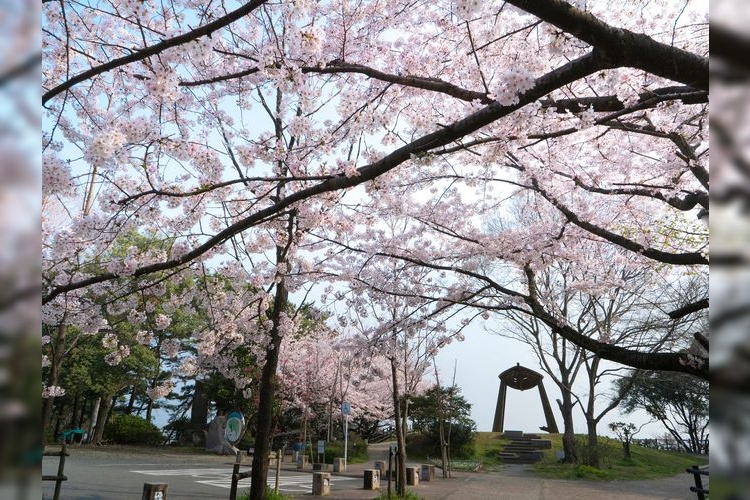 Nishi Park 3