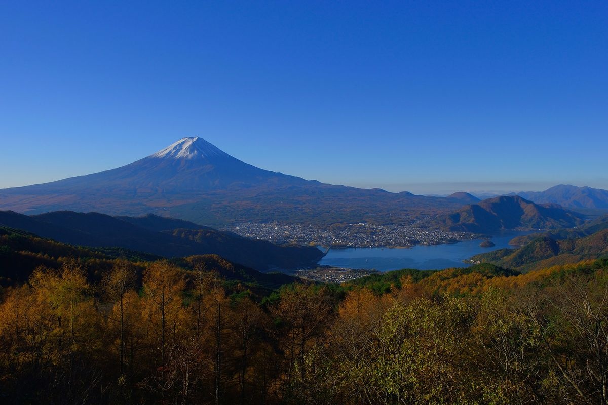 Jalan Hutan Nishikawa Niikura (Gunung Fuji)