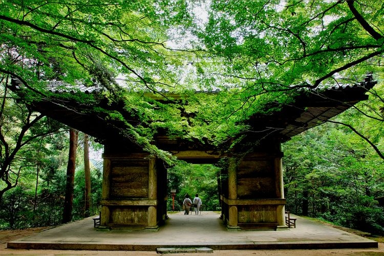 니시야마 코류지 (Nishiyama Koryuji)