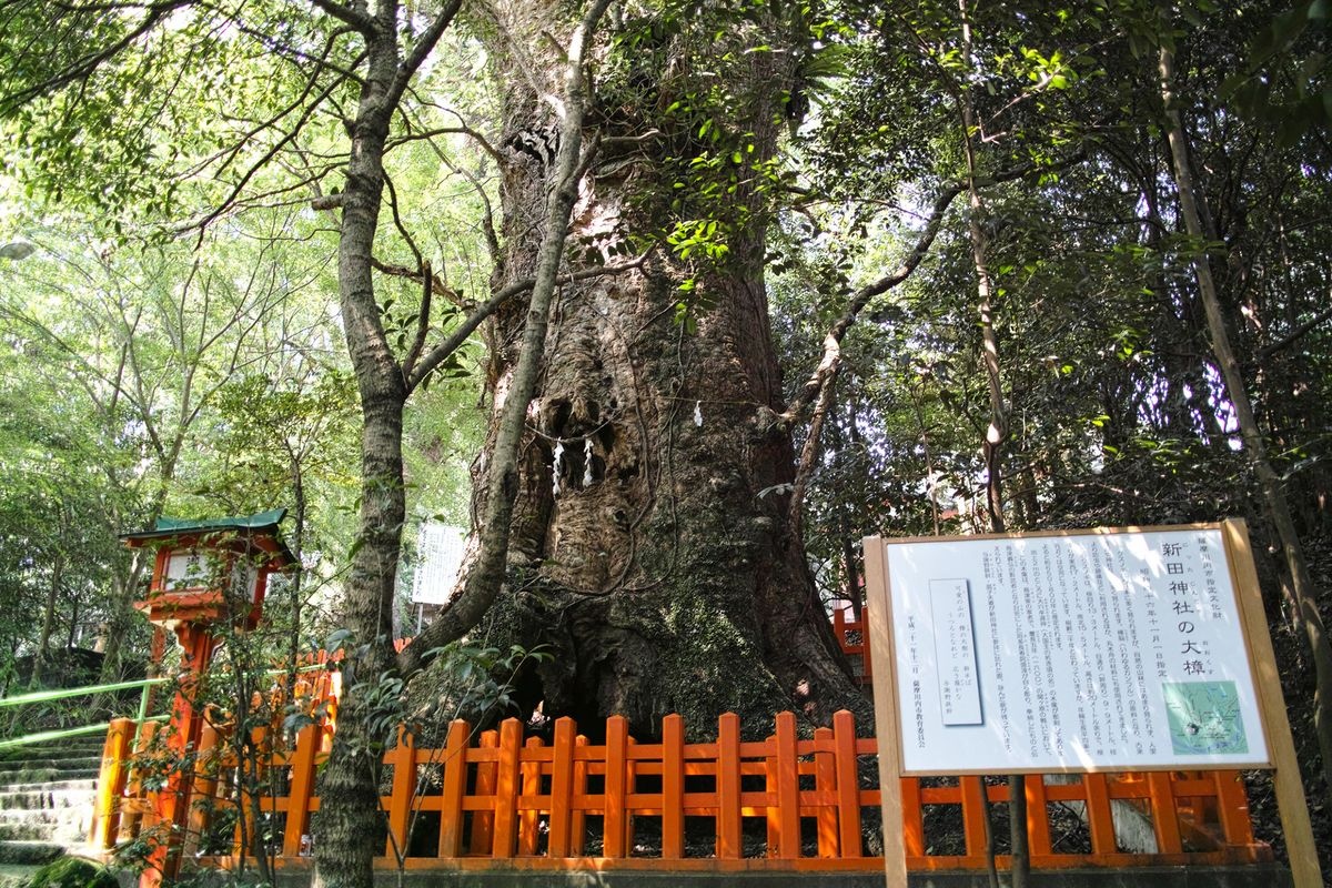 Nitta Jinja