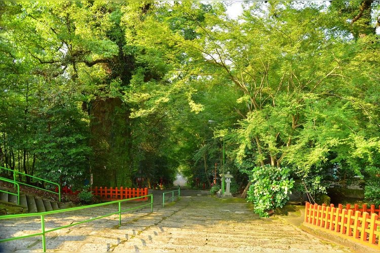 Nitta Jinja 3